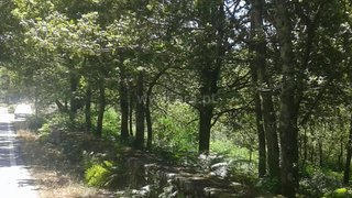 Land for sale in Paredes de Coura, Portugal — €23,700