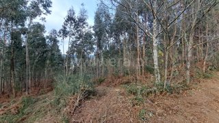 Land for sale in Ponte de Lima, Portugal — €58,000