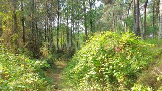 Terreno de 5809 m² em Viana do Castelo