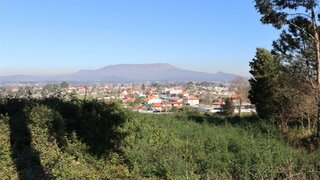 Terreno de 20 000 m² em Viana do Castelo