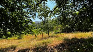 Land for sale in Ponte da Barca, Portugal — €28,000