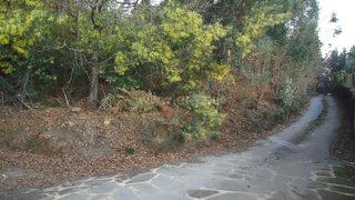 Terreno para venda em Ponte de Lima, Portugal — 106 500 €