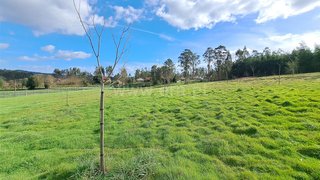 Land for sale in Ponte de Lima, Portugal — €160,000