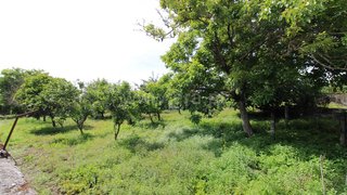 Terreno de 2562 m² em Viana do Castelo