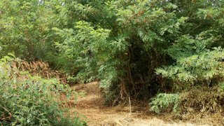 Land for sale in Monção, Portugal — €57,000