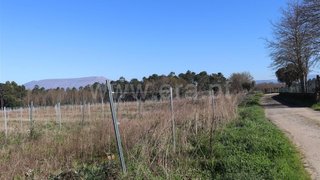 Land for sale in Viana do Castelo, Portugal — €637,000