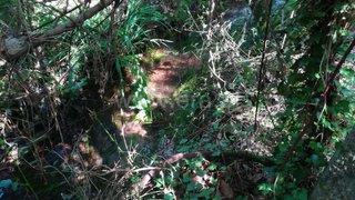Land for sale in Ponte de Lima, Portugal — €43,000