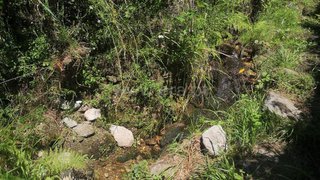 Land for sale in Ponte de Lima, Portugal — €4,750