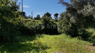 Land for sale in Ponte de Lima, Portugal — €19,000