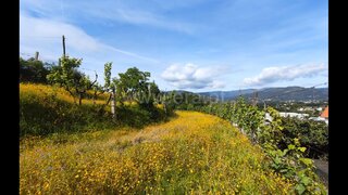 Land for sale in Arcos de Valdevez, Portugal — €85,000