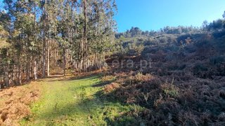 Land for sale in Ponte de Lima, Portugal — €9,500