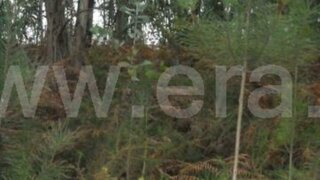 Terreno para venda em Ponte de Lima, Portugal — 21 000 €