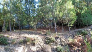 Land for sale in Ponte de Lima, Portugal — €15,000