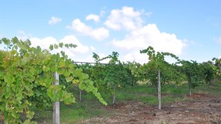 Land for sale in Monção, Portugal — €400,000
