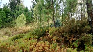 Land for sale in Monção, Portugal — €50,000