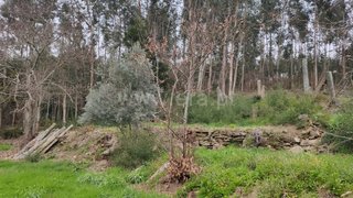 Terreno para venda em Ponte de Lima, Portugal — 8000 €