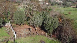 Land for sale in Ponte de Lima, Portugal — €9,000