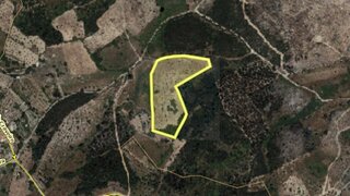 Land for sale in Abrantes, Portugal
