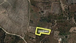 Land for sale in Abrantes, Portugal