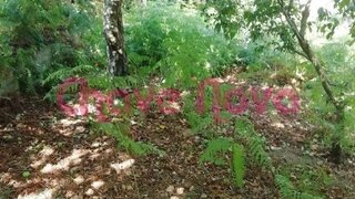 Land for sale in Vila Nova de Gaia, Portugal — €50,000