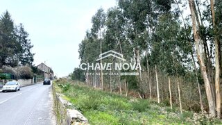 Land for sale in Oliveira de Azeméis, Portugal — €190,000