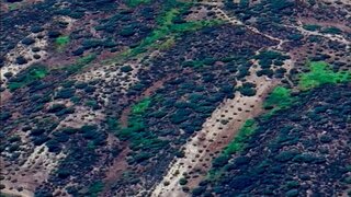 Land for sale in Nisa, Portugal — €37,500