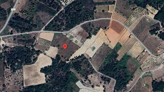 Land for sale in Vila Flor, Portugal — €34,000