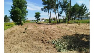 Terreno em Vagos