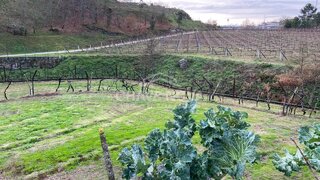 Land for sale in Baião, Portugal — €32,000