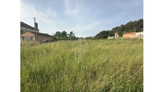 Land for sale in Anadia, Portugal — €60,000