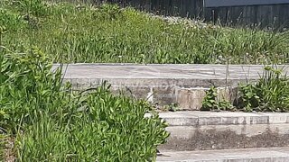 Land for sale in Matosinhos, Portugal — €90,000