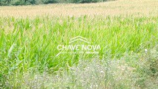 Land for sale in Santa Maria da Feira, Portugal — €800,000