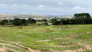Land for sale in Torres Vedras, Portugal — €450,000