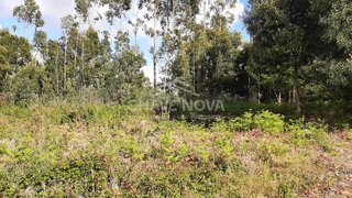 Land for sale in Santa Maria da Feira, Portugal — €130,000