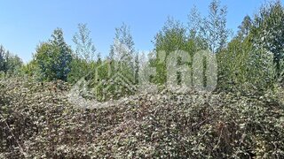 Land for sale in Santa Maria da Feira, Portugal