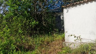 Land for sale in Santarém, Portugal — €50,000