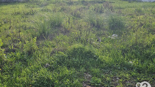 Land for sale in Oeiras, Portugal — €225,000