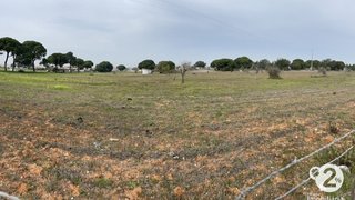 Land for sale in Palmela, Portugal — €1,850,000
