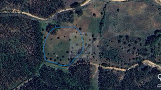 Terreno de 6000 m² em Santarém