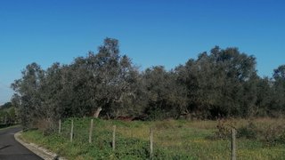 Land for sale in Palmela, Portugal — €260,000