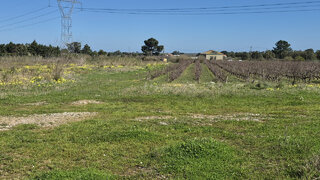 Land for sale in Palmela, Portugal — €199,000