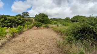 Land for sale in Sesimbra, Portugal — €420,000