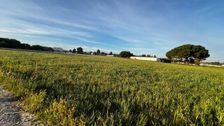 Land for sale in Palmela, Portugal — €400,000