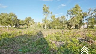 Land for sale in Mafra, Portugal