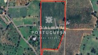 Terreno de 38 900 m² em Faro