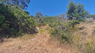 Land for sale in Silves, Portugal — €65,000