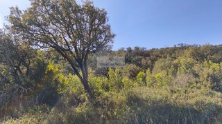 Land for sale in Vila do Bispo, Portugal — €35,000