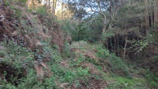 Land for sale in Monchique, Portugal — €190,000