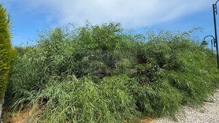 Terreno para venda em Lagos, Portugal — 510 000 €