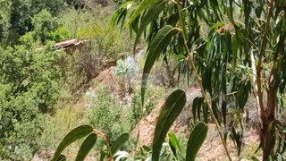 Land for sale in Monchique, Portugal — €45,000